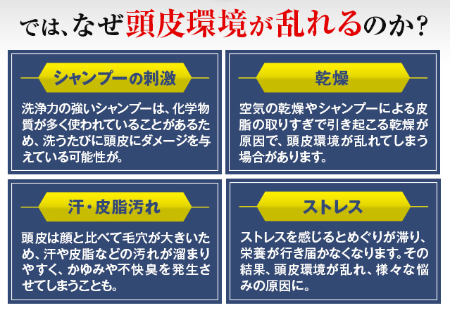 では、なぜ頭皮環境が乱れるのか？　シャンプーの刺激　乾燥　汗・皮脂汚れ　ストレス