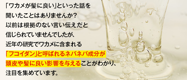 「フコイダン」と呼ばれるネバネバ成分が頭皮や髪にいい影響を与える